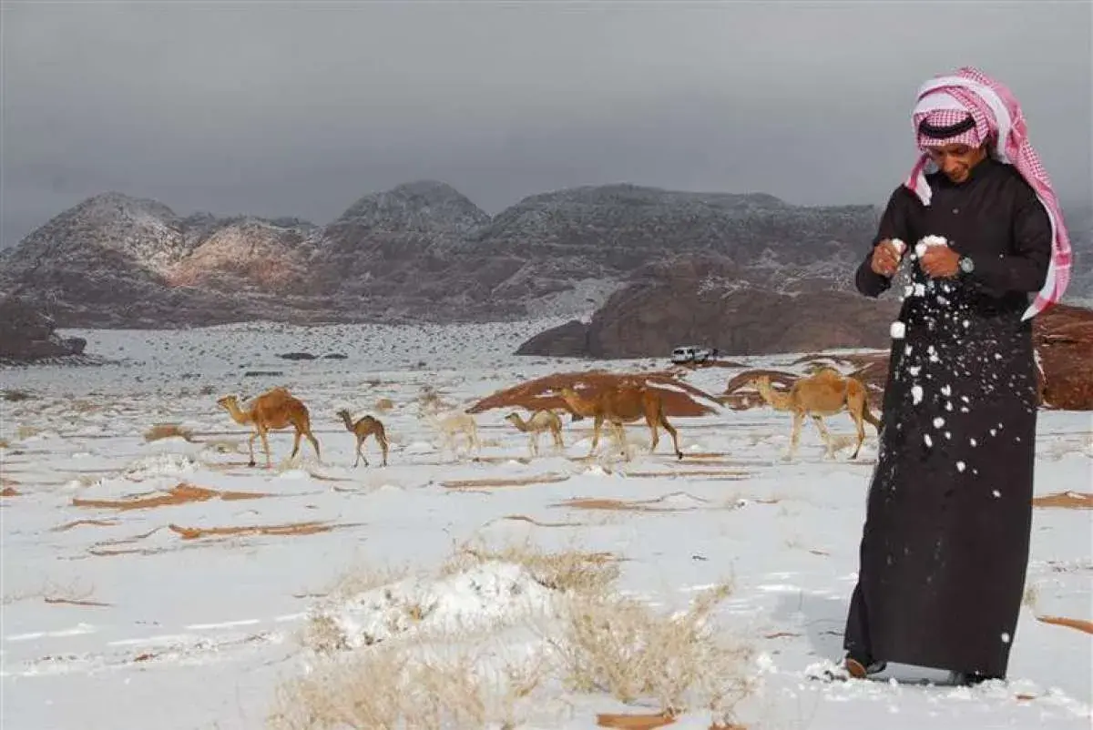Image News JABAL AL-LAWZ: MENYAMBUT MUSIM SALJU, MEMAHAMI WARISAN KUNO DI TABUK